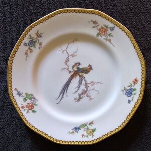 Antique Eden THEODORE HAVILAND Limoges Porcelain 9 5/8" Dinner Plate